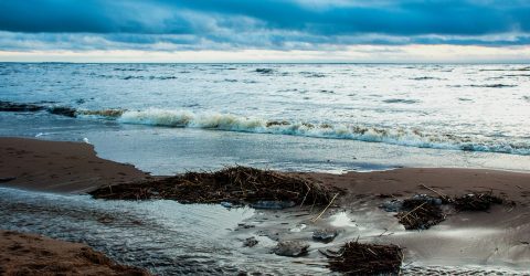 Sea freedom