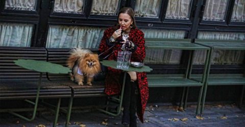 Lady with puppy