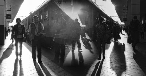 Parallel worlds