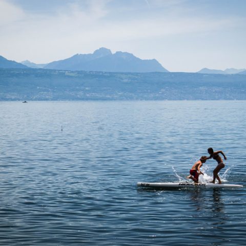 Deux Rameurs et une Chute