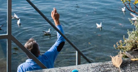 L’Homme, deux Mouettes et une Trottinette