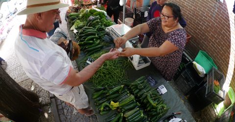 AT THE VEGETABLE MARKET…THANKS!