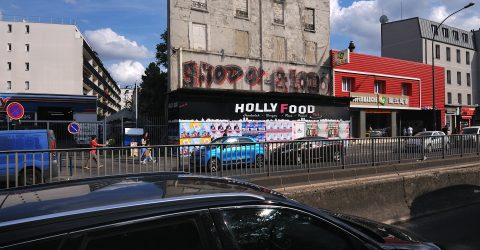 Jeune pousse ( Young shoot)