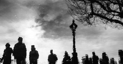 Reflections