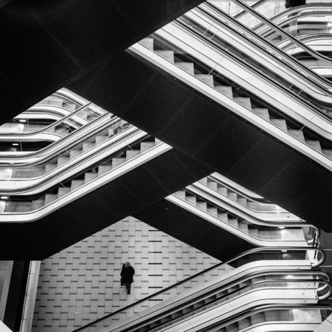 Lines