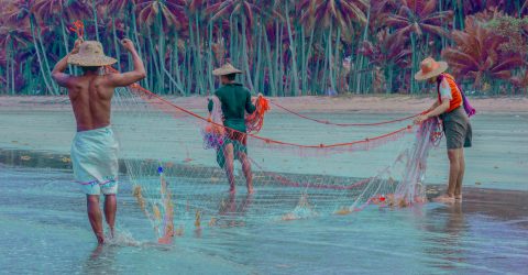 Fisherman I