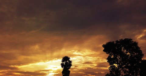 Golden evening