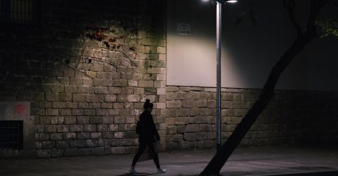 Stranger in the night