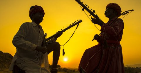 Vibrant Rhythm of Life
