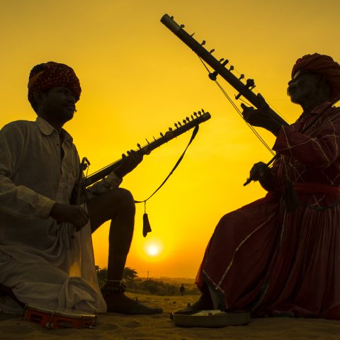 Vibrant Rhythm of Life