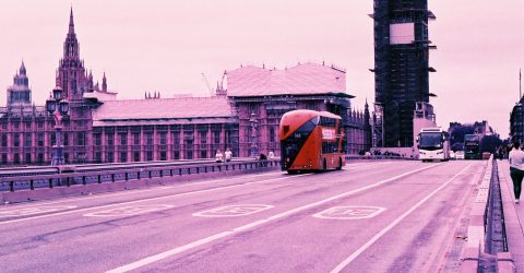London in pink 1