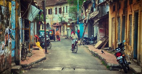 The Cyclist