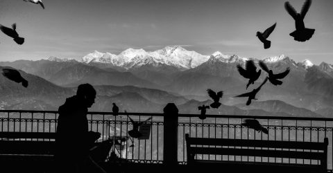 “A view to die for”