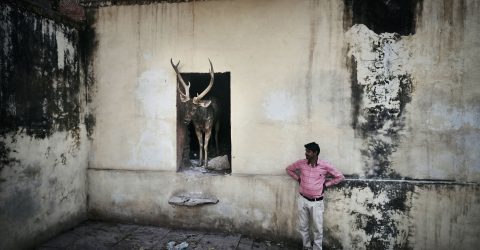 Surreal Encounter