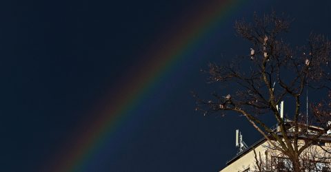THE RAINBOW