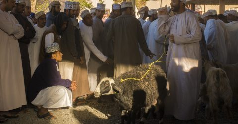The Goat Trader