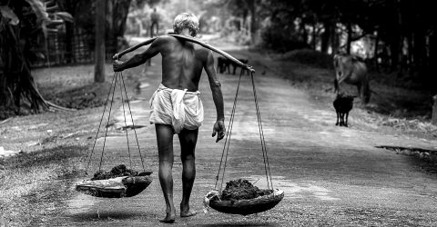 The Working Old Man