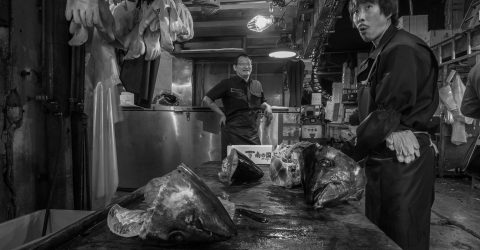 Tsukiji market