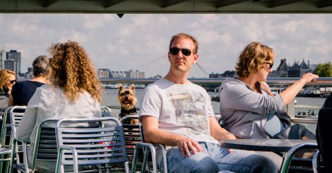 Rotterdam Terrier