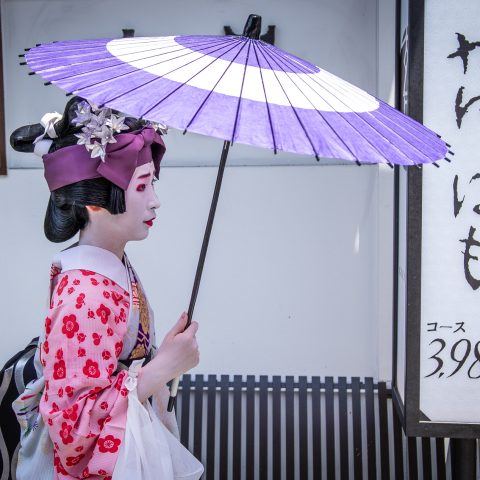 Geisha