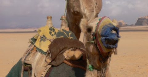 Wadi Rum , Jordan 1
