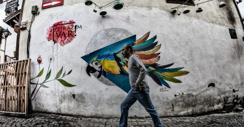 Birdman