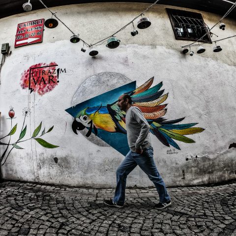 Birdman