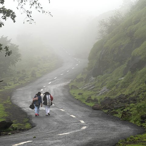 THE ROAD TO HEAVEN.