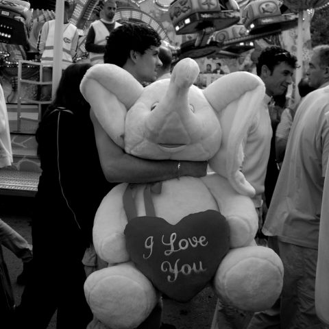 Le gros Lot de la Foire du Midi