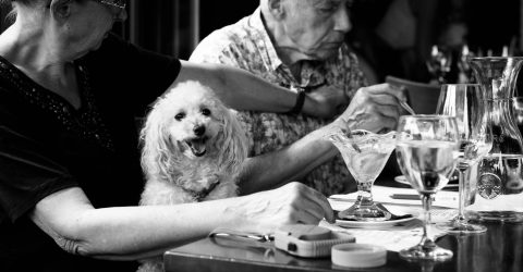 Dogville