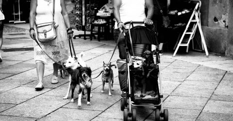 Dogville
