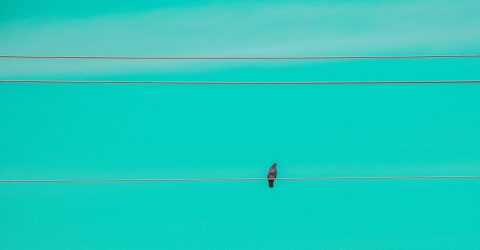 Part 3 of 7 – The Freedom