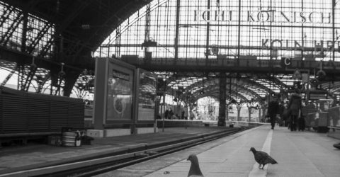 Why fly if we got a train