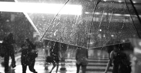 Summer rain in Buenos Aires Serie photo 1