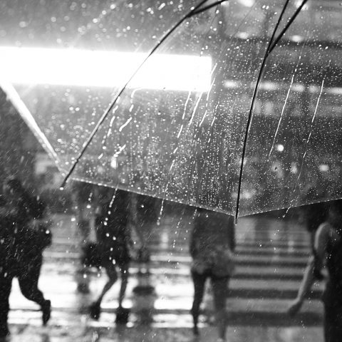 Summer rain in Buenos Aires Serie photo 1