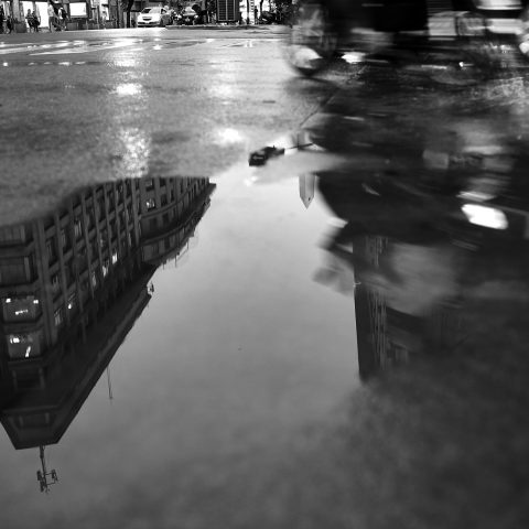 Summer rain in Buenos Aires Serie photo 3