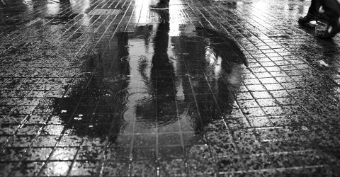 Summer rain in Buenos Aires Serie photo 5