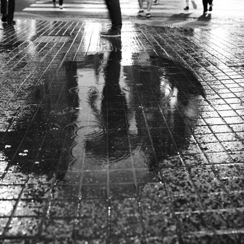 Summer rain in Buenos Aires Serie photo 5