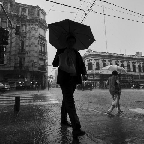 Summer rain in Buenos Aires Serie photo 8