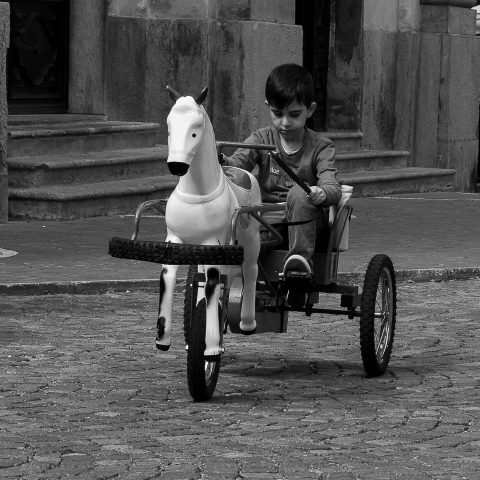 Il cavallo bianco