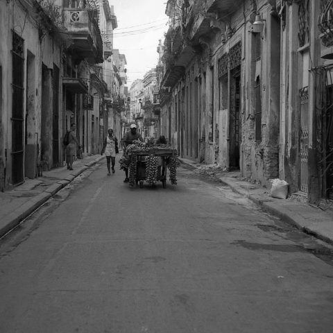 Real Havana