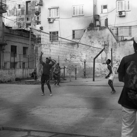 Volleyball training