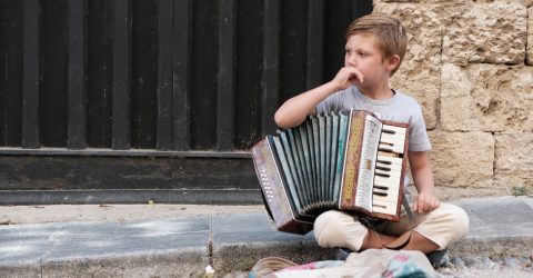 Accordionist