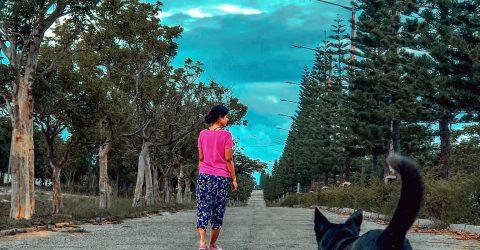 A morning walk in the neighbourhood…