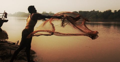 The weave of life