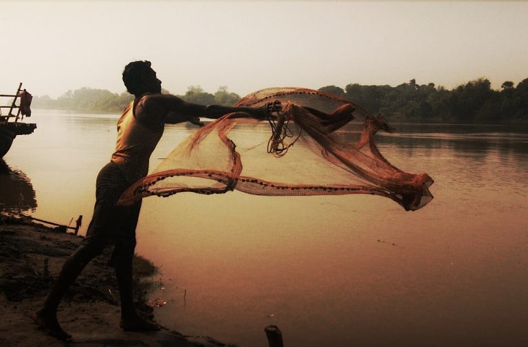 the weave of my life by urmila pawar the weave of my life by urmila pawar