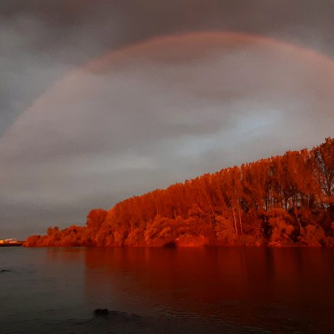 Rainbow in river Sava