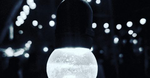The artistic bulb