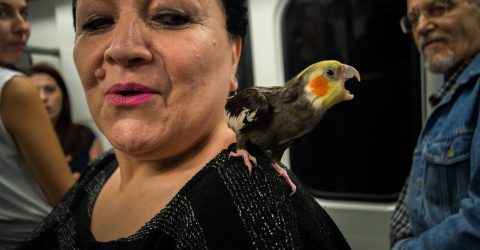 Lady with parrot
