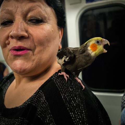 Lady with parrot